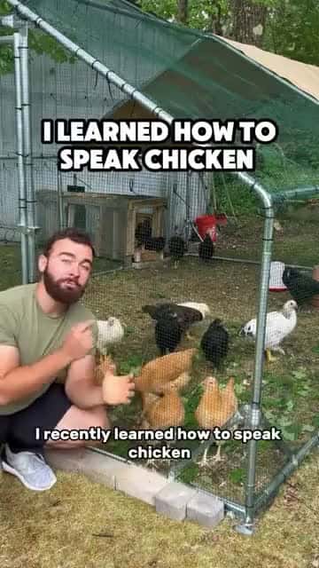Cover for #CaughtOnCamera Chicken Master