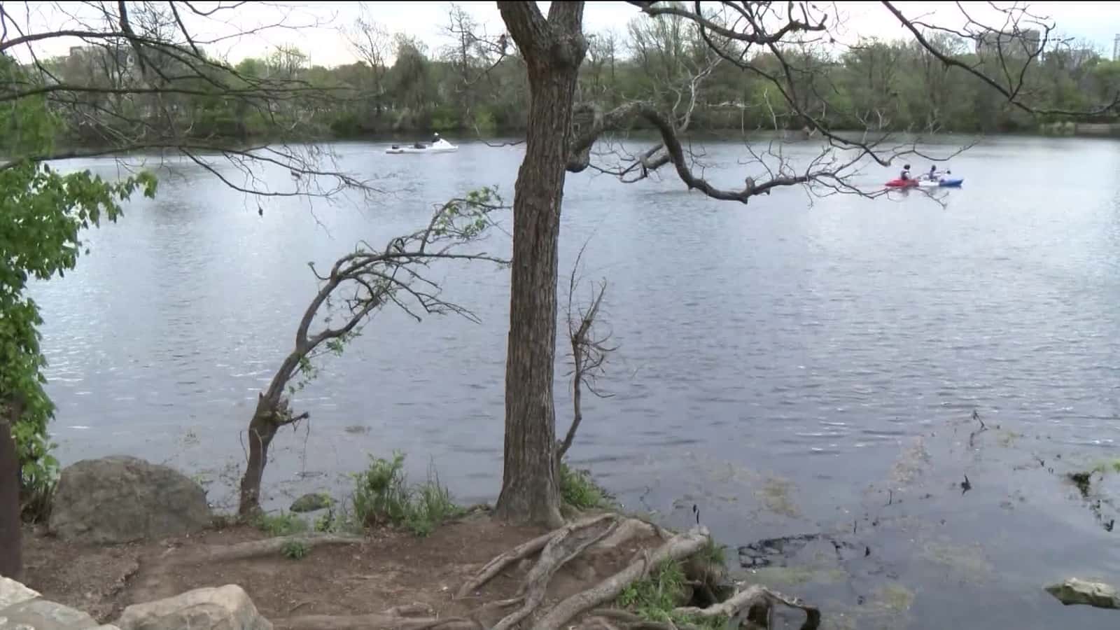 Cover for Closures coming to Ann and Roy Butler Hike and Bike Trail