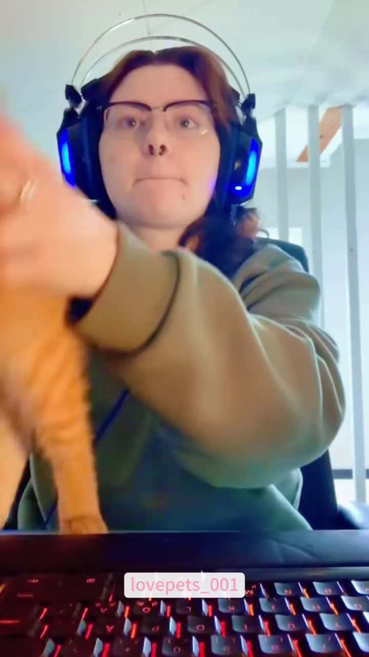 Cover for #cat #cats #cutecats #funnycat #catlover #foryou #funny #funnyvideos #usa #funnyanimals #fypシ #cute #funnypets #viral #funny
