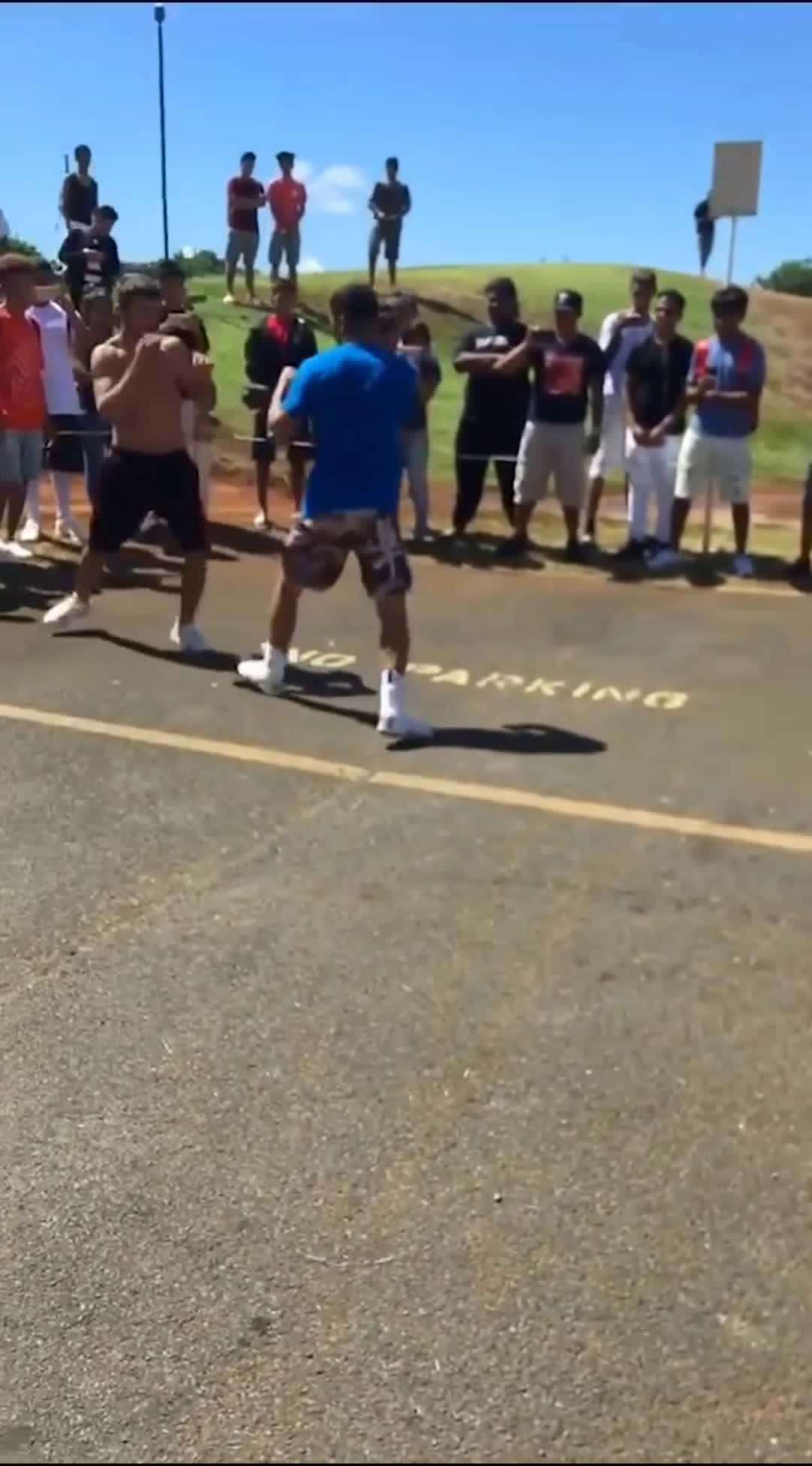 Cover for Crazy  Outdoor Fighting
