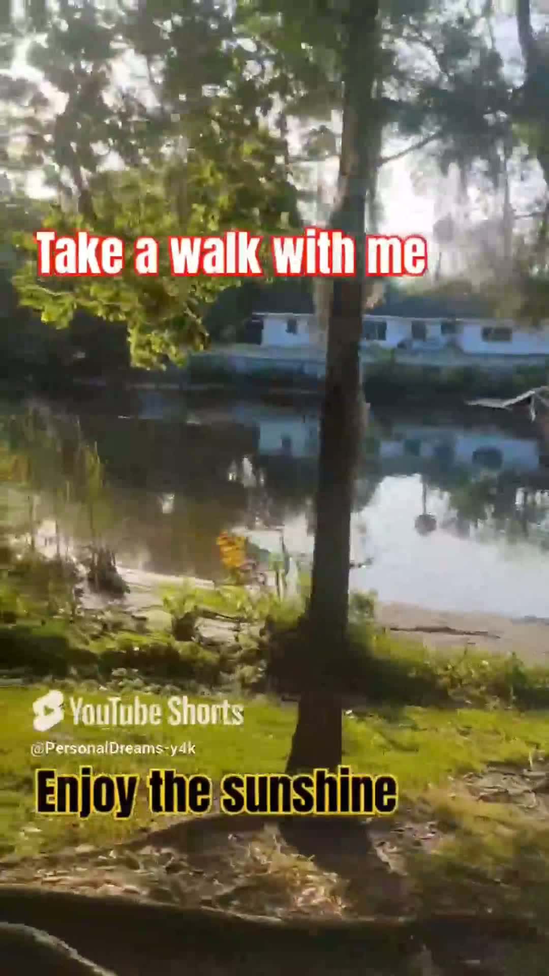 Cover for #CaughtOnCamera #walking #sunshine #scoopz 