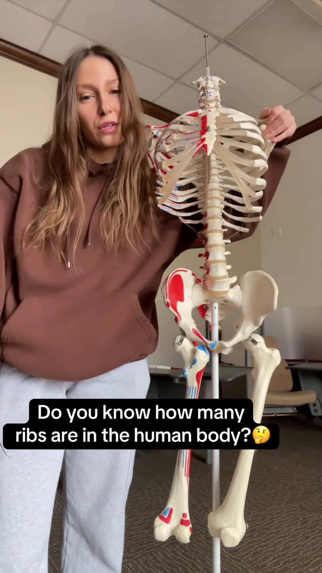 Cover for What do you know about the ribcage?!🤔 Leave us a comment😁 #anatomy #learn #ribs #ribcage #ohiouniversity #anatomyandphysiology #anatomylesson #anatomyclass #reels #fupシ #fyp #fypage #trueribs #falseribs #floatingribs #axialskeleton Make sure to follow us on Instagram and YouTube for more FREE anatomy content!!🥰