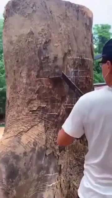 Cover for Watch this master show off amazing wood cutting skills! 🪓 #Woodworking #Skills #Craftsmanship