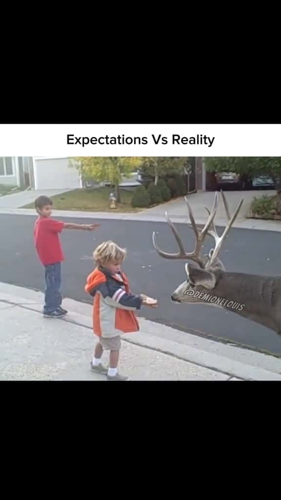 Cover for #Disney taught us wild animals were friendly #CapCut #disneyanimals #deer #animalattacks #whenanimalsattack #fyp #foryourpage #meme #deer (1)