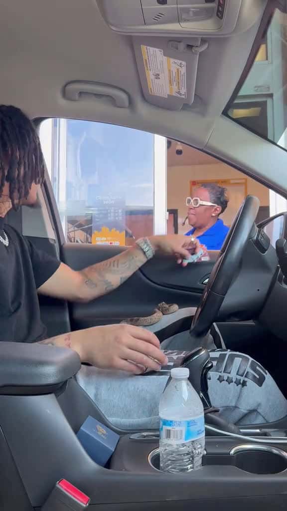 Cover for DRIVE THRU SNAKE PRANK GONE WRONG explore relatable sharethemagic repost funnyvid 87563 #trendingscoopz