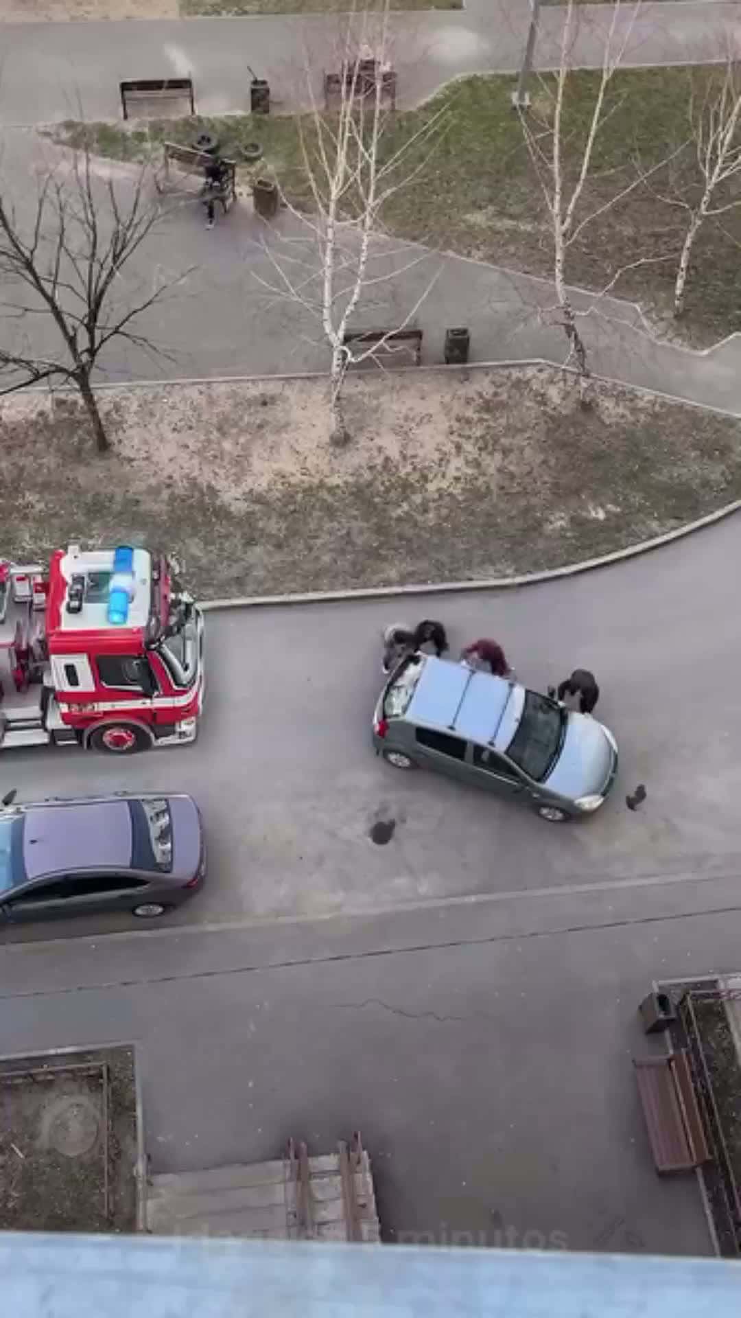Cover for Great team work ❤💪 #trending  #great  #winoftheweek  #wow  #firstvideochallenge  #firefighterdrama 