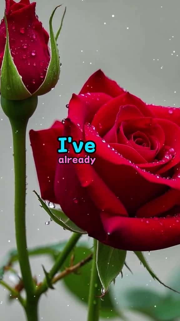 Cover for Love lovequotes fyp 10207 #shortvideos