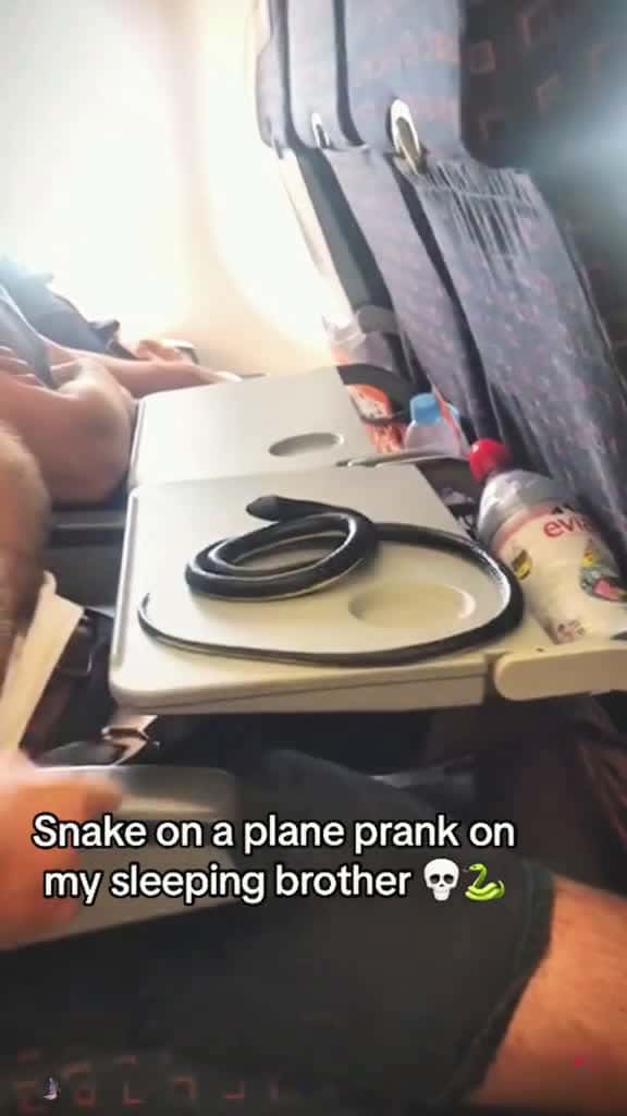 Cover for Sheeping pranks #scarypranks #funny #funnyvideos #fyp #usa #tiktok