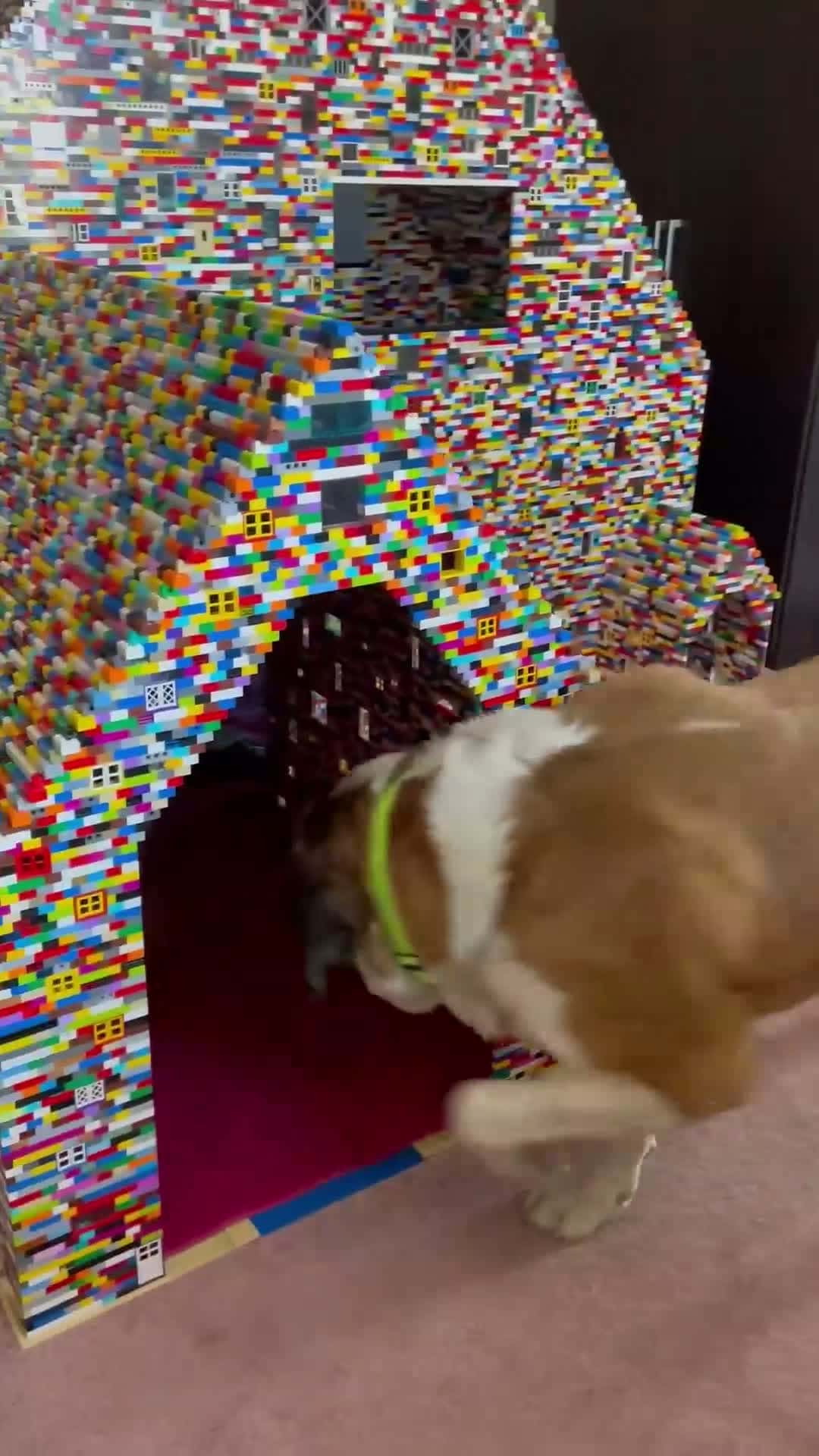 Cover for Massive Dog House Made With Building Blocks