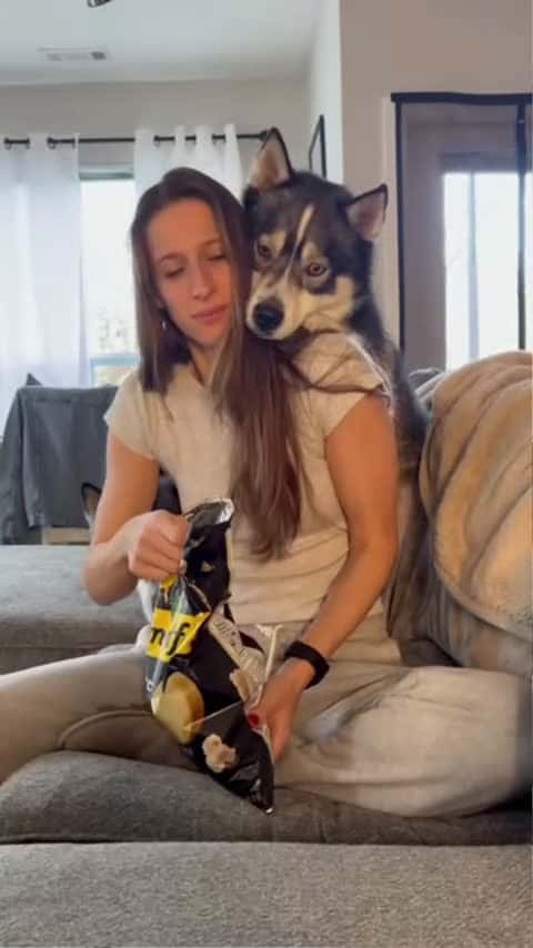 Cover for “Is that for me？” Blue #husky #dogs #shorts_514 (2)