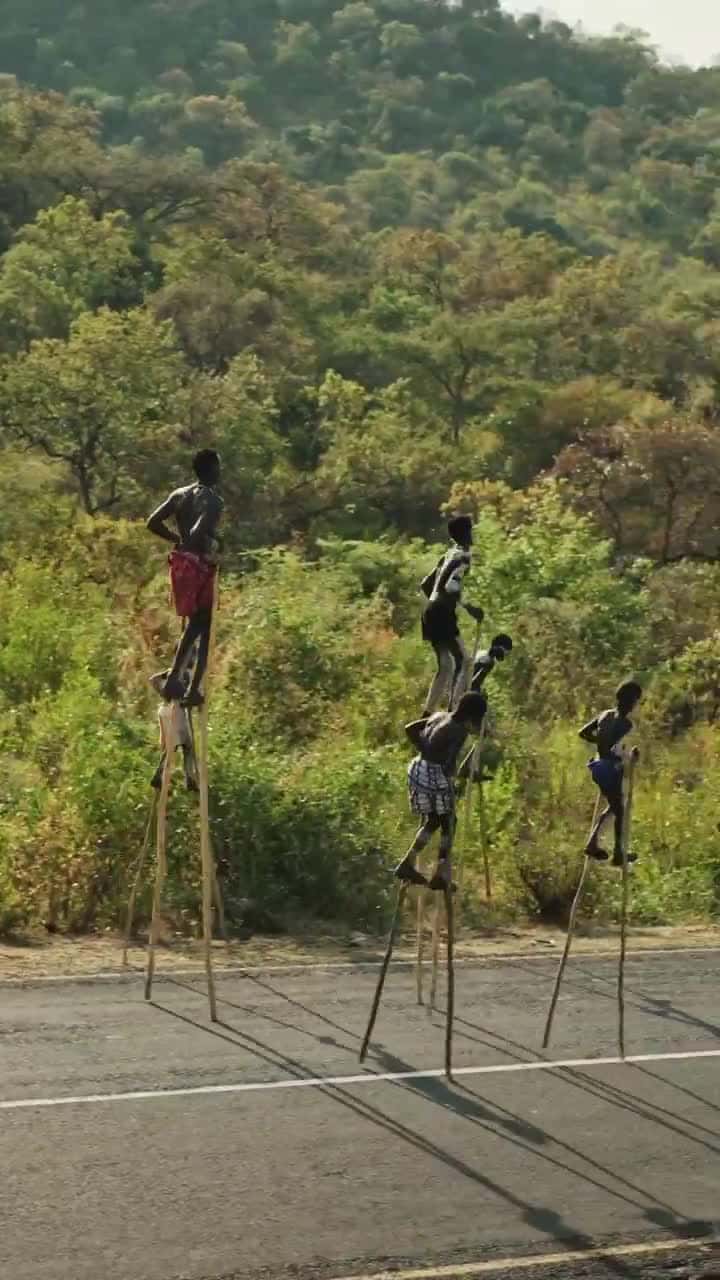 Cover for #FirstVideoChallenge Stilt Walkers of Africa Grace on Stilts #edplore #fyp #scoopz