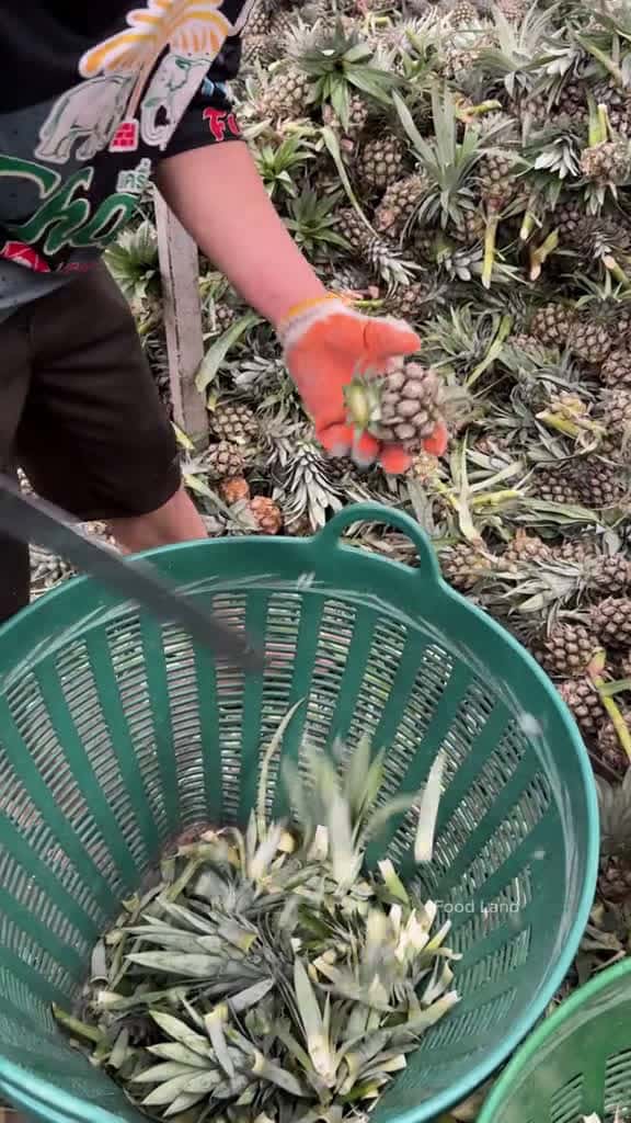 Cover for This man s craftsmanship is amazing. - Thai fruit 06475 #trendingscoopz