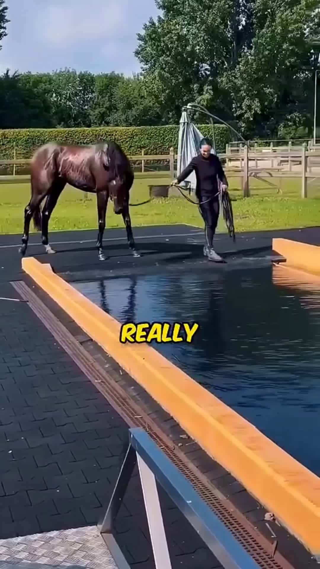 Cover for hours