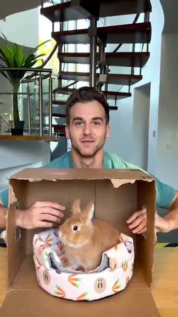 Cover for Friends Had To Guess What's In The Box C
