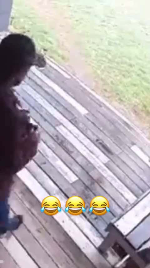 Cover for 🤣🤣🤣😅 #funny #funnyvideos #fyp #trending #scoopz