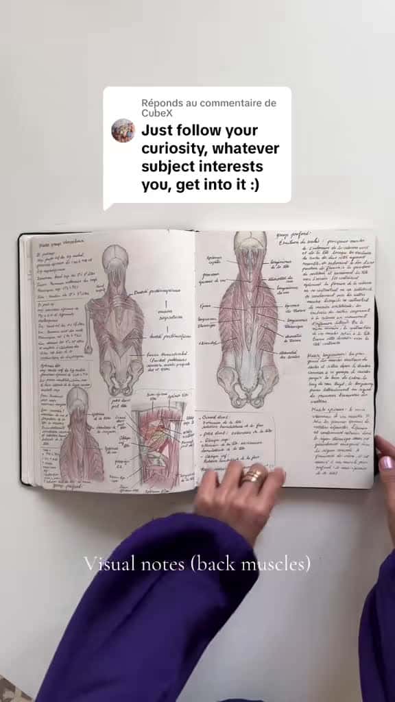 Cover for Réponse à @CubeX 👀living by my own advice and down the rabbit holes I go and quite happily so #anatomylesson #sketchbook #backmuscles #backanatomy #anatomydrawing #drawing #artistsoftiktok