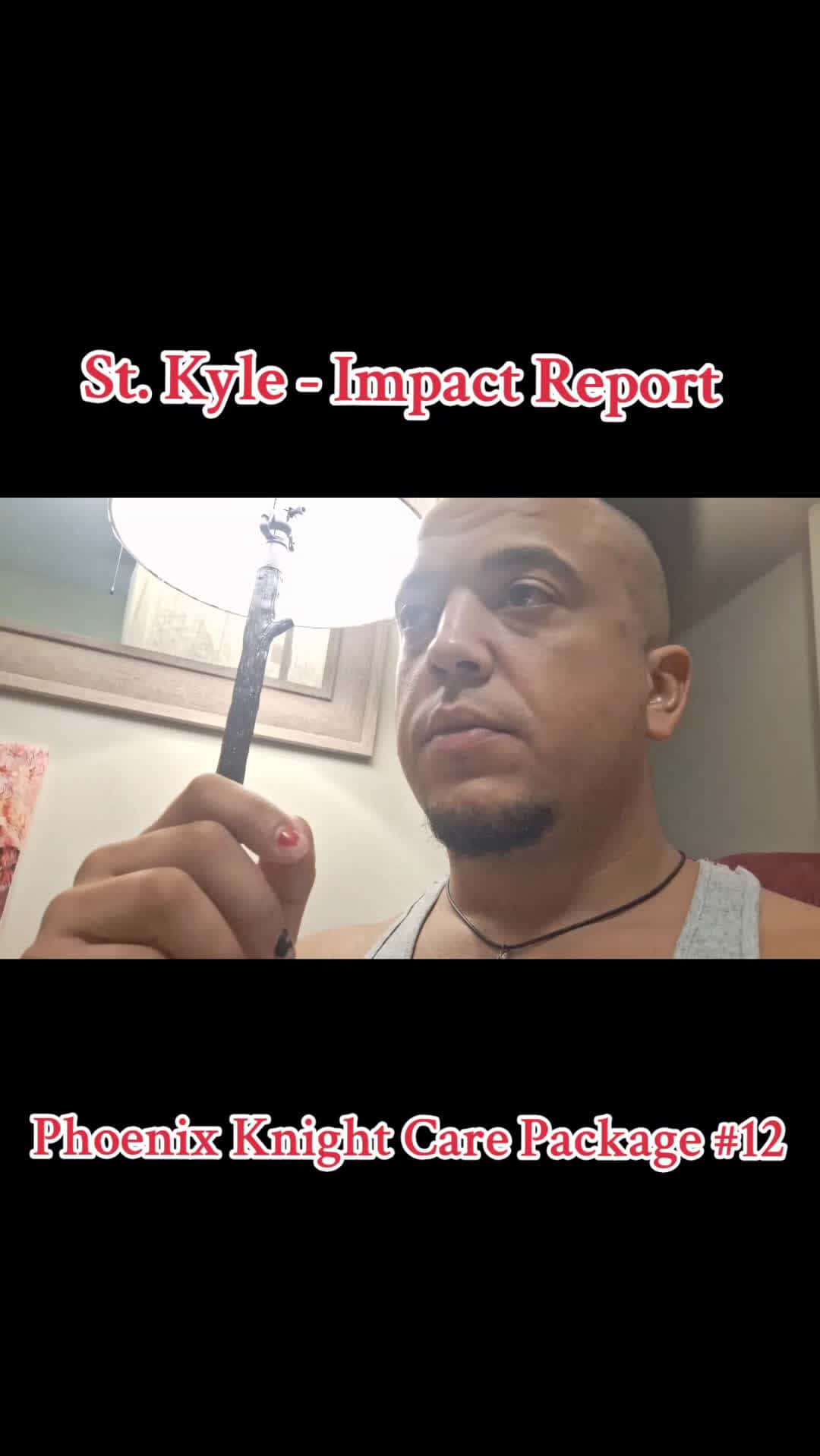 Cover for Impact Report | Phoemix Knight Care Package #12 - St. Kyle#stkyle #thephoenixknight #jesus  #jesuslovesyou #wedorecover ##demonslayer #chosen 