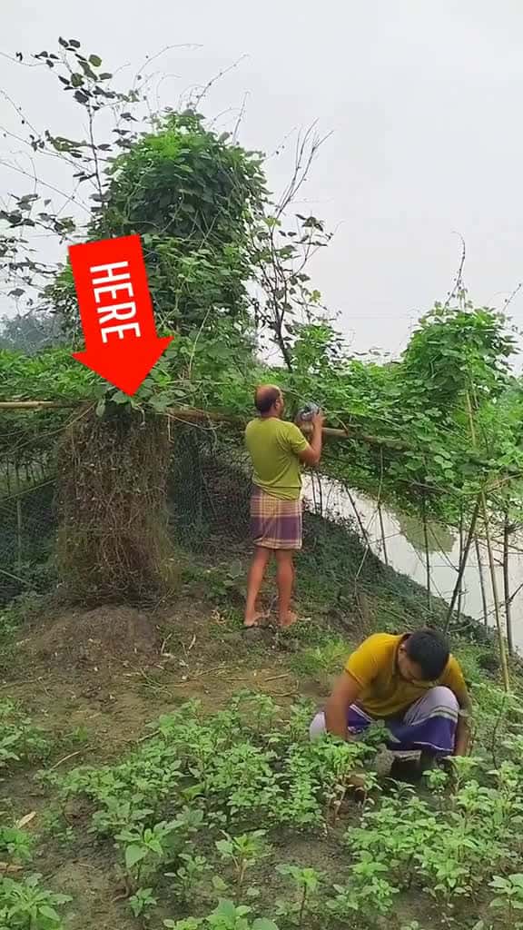 Cover for funny funtrending 70367 #shortvideos