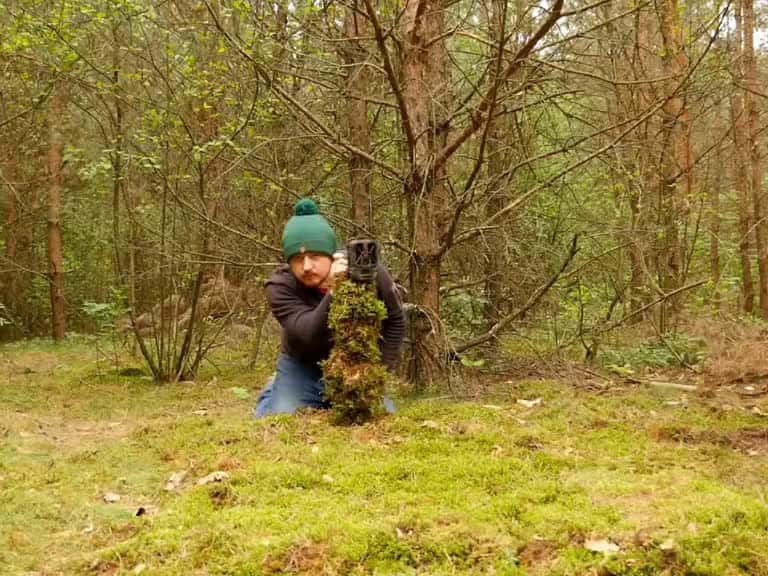 Cover for How I built a shelter and observed nature around me camping survival bushcraft 2025 15342 #nicevideo