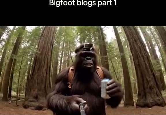 Cover for Back at Redwood National Park 1 and I had a crazy experience.. I was so cooked for real #bigfoot #bigfootboys #yeti #bigfootvlog #bigfootboyz #FYP created by lilperk5 with lilperk5’s original sound