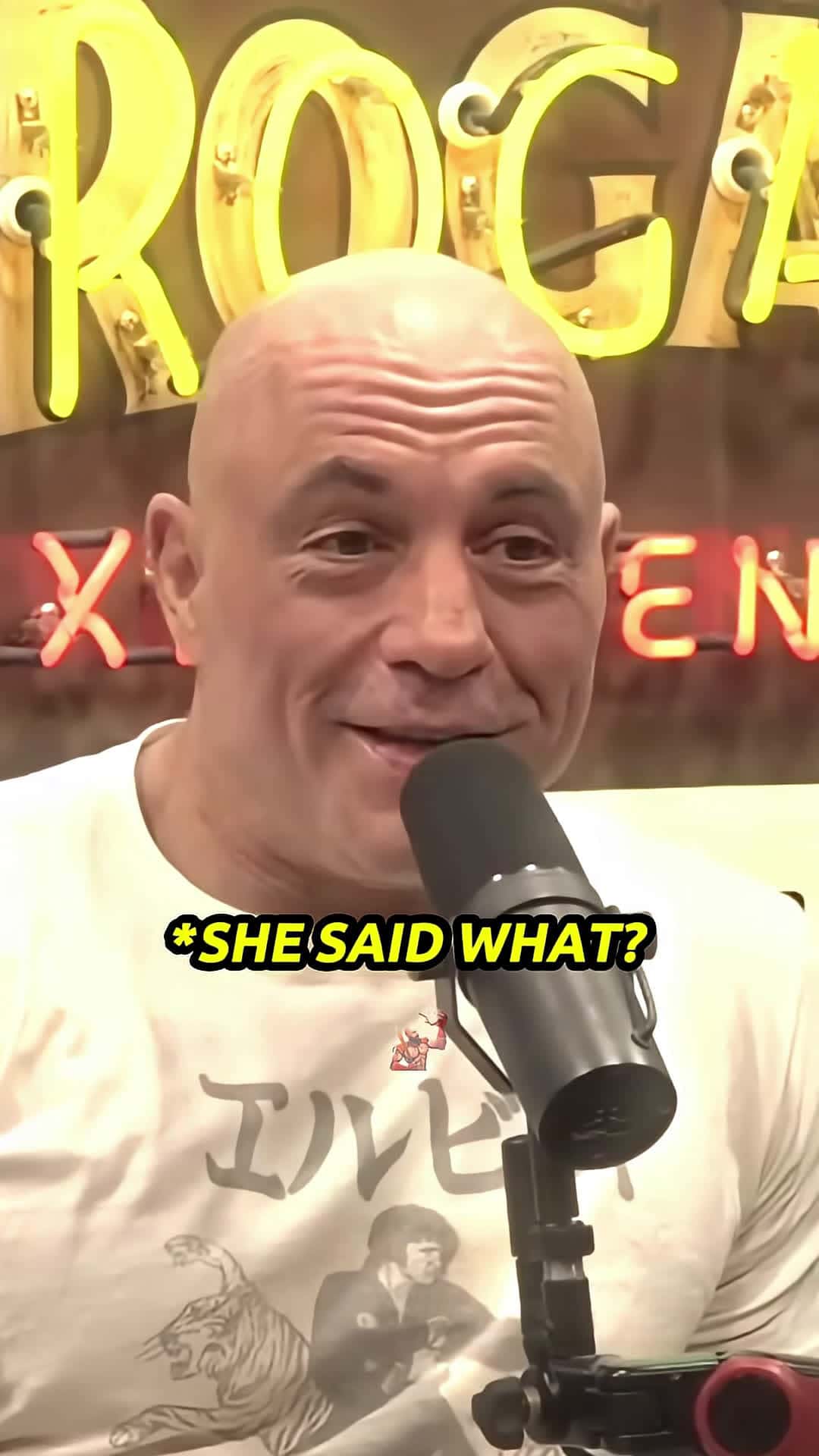 Cover for Joe Rogan Reacts to Woke Liberals Getting DESTROYED By a Conservative Woman