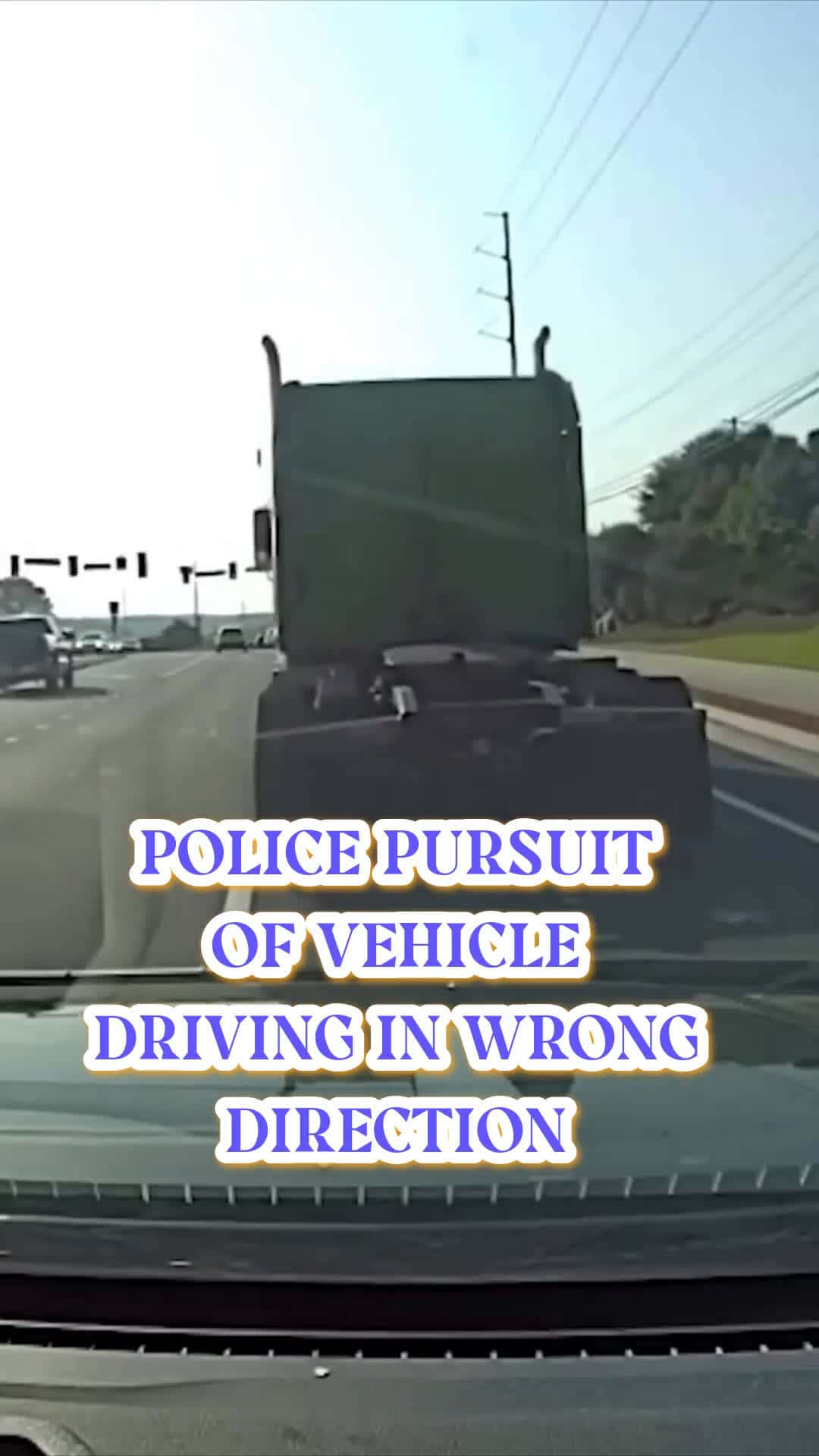 Cover for Police Chase Catches Driver Going the Wrong Way