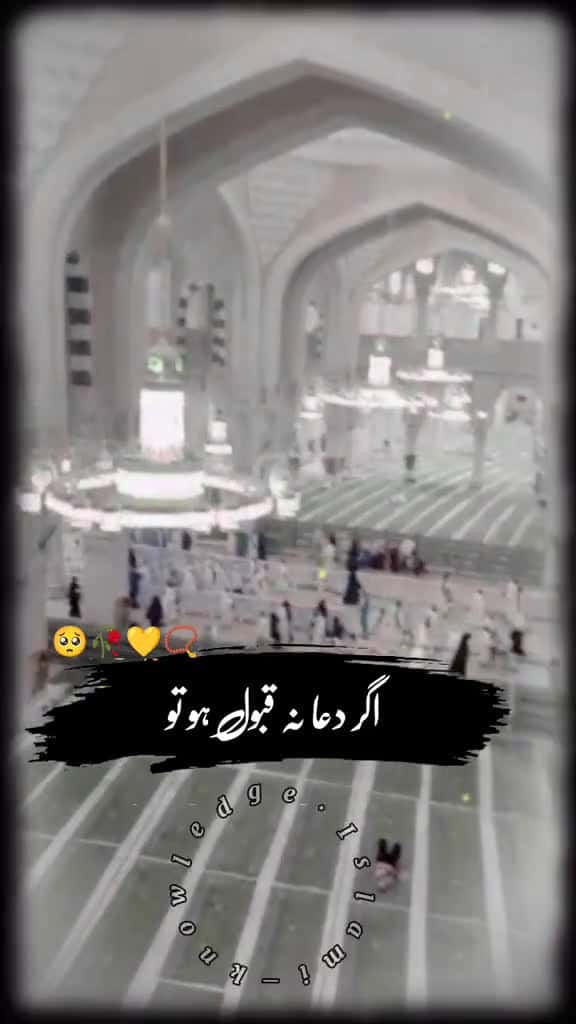 Cover for islamic videos top 5 viral tiktok videos topics or ideas islamic status Allah Raham pharma 19873 #trendingscoopz
