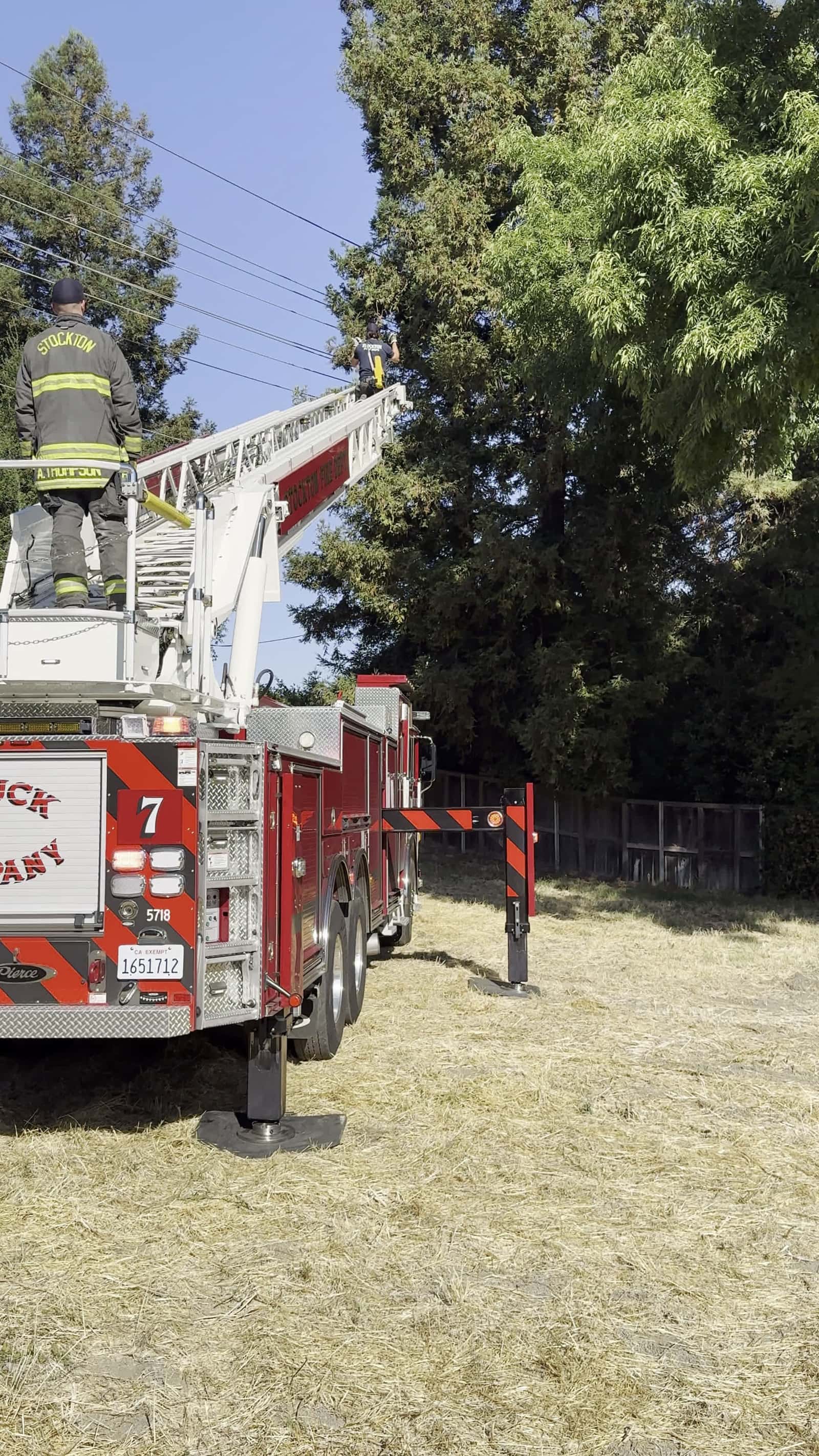 Cover for A young boy was stuck in a tree engine seven was assisting the rescue here in Stockton, California