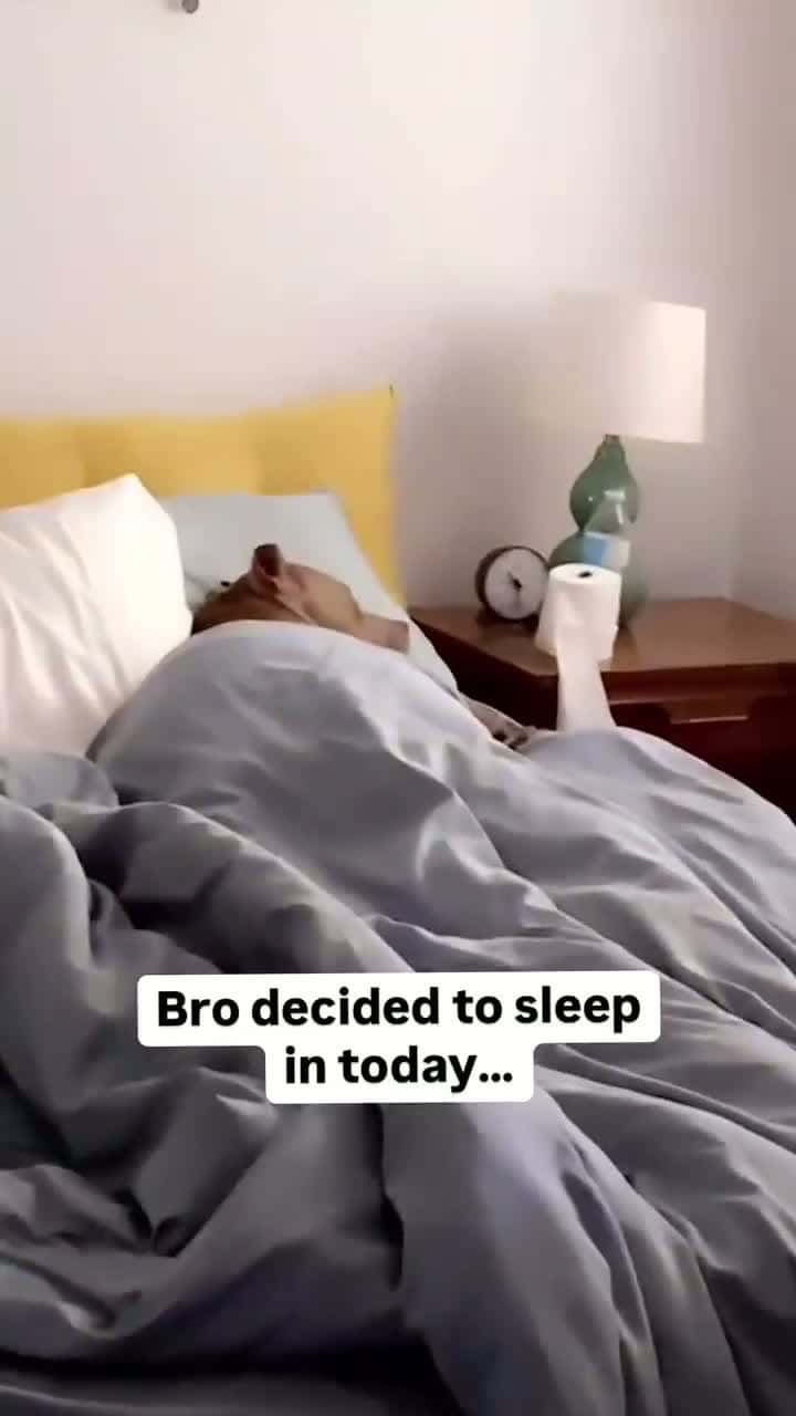 Cover for Bro woke up like he was late for work then realized he doesn’t have to pay rent 😂🎥: