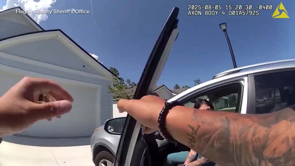 Cover for A woman in Florida has been arrested for allegedly impersonating a nurse—using a stolen license number and treating thousands of patients before she was detained. Victor Oquendo reports. #news #Florida #nurse created by Good Mo...