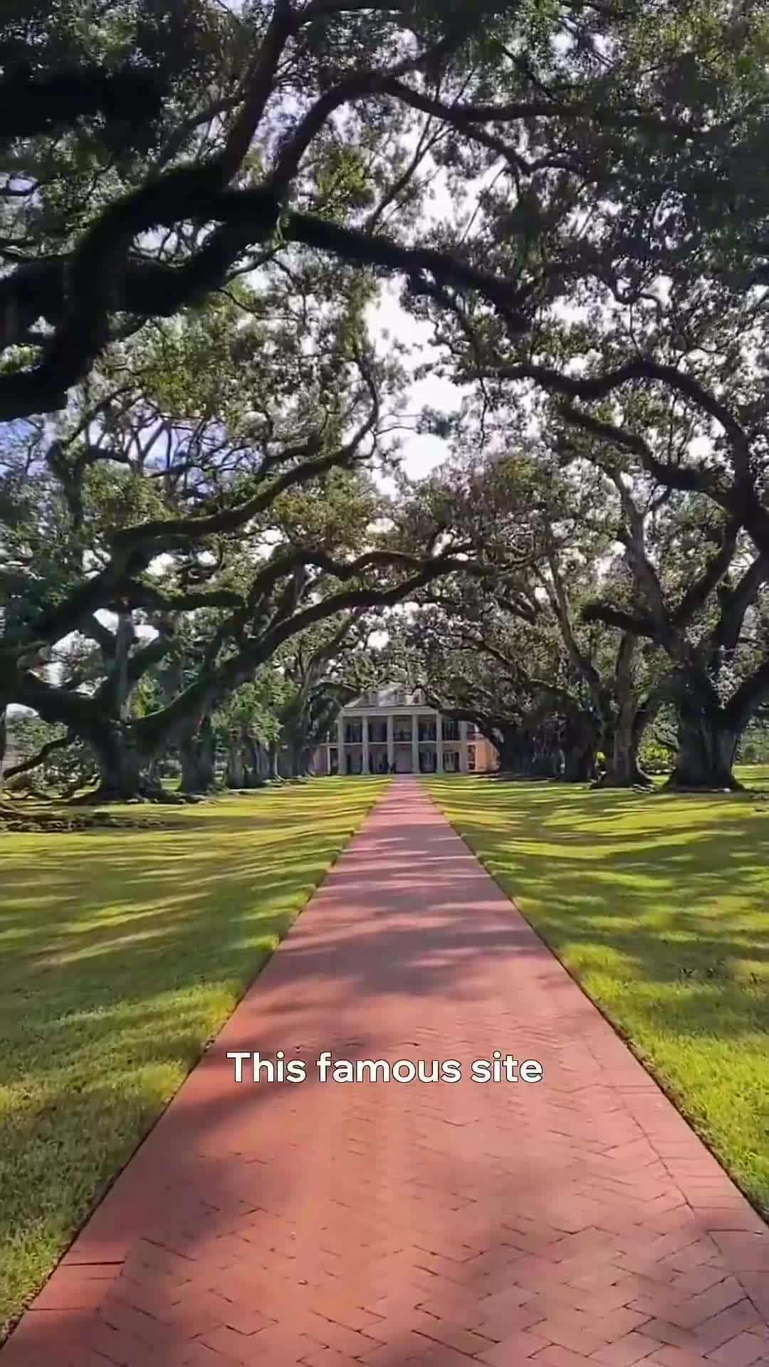 Cover for Oak Alley Plantation #oakalleyplantation #louisiana #knowledge #history #explore