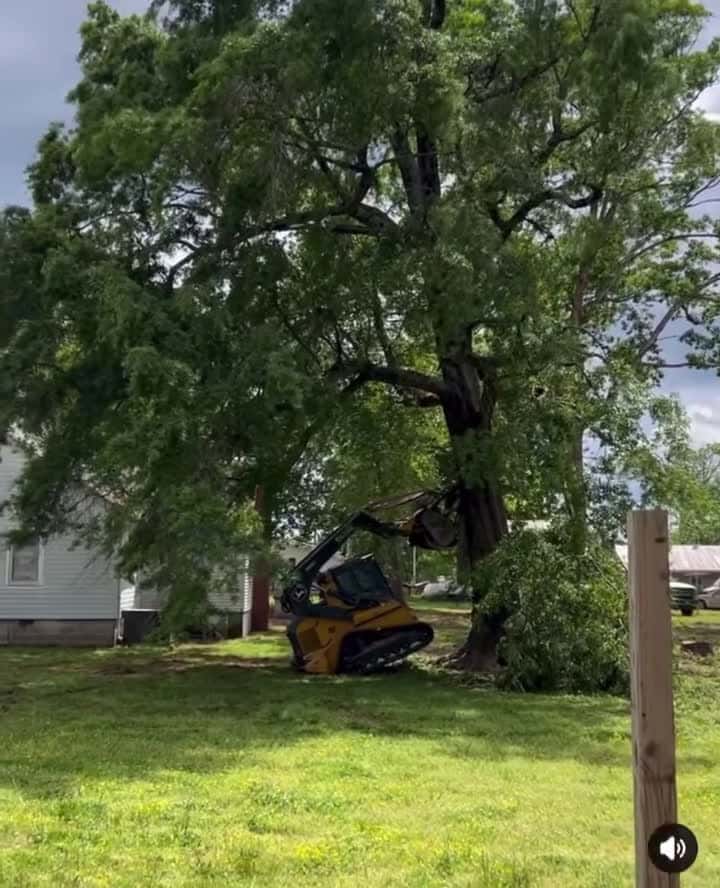 Cover for  #fyp #tree  #fail  #caughtoncamera Don’t use that tree service