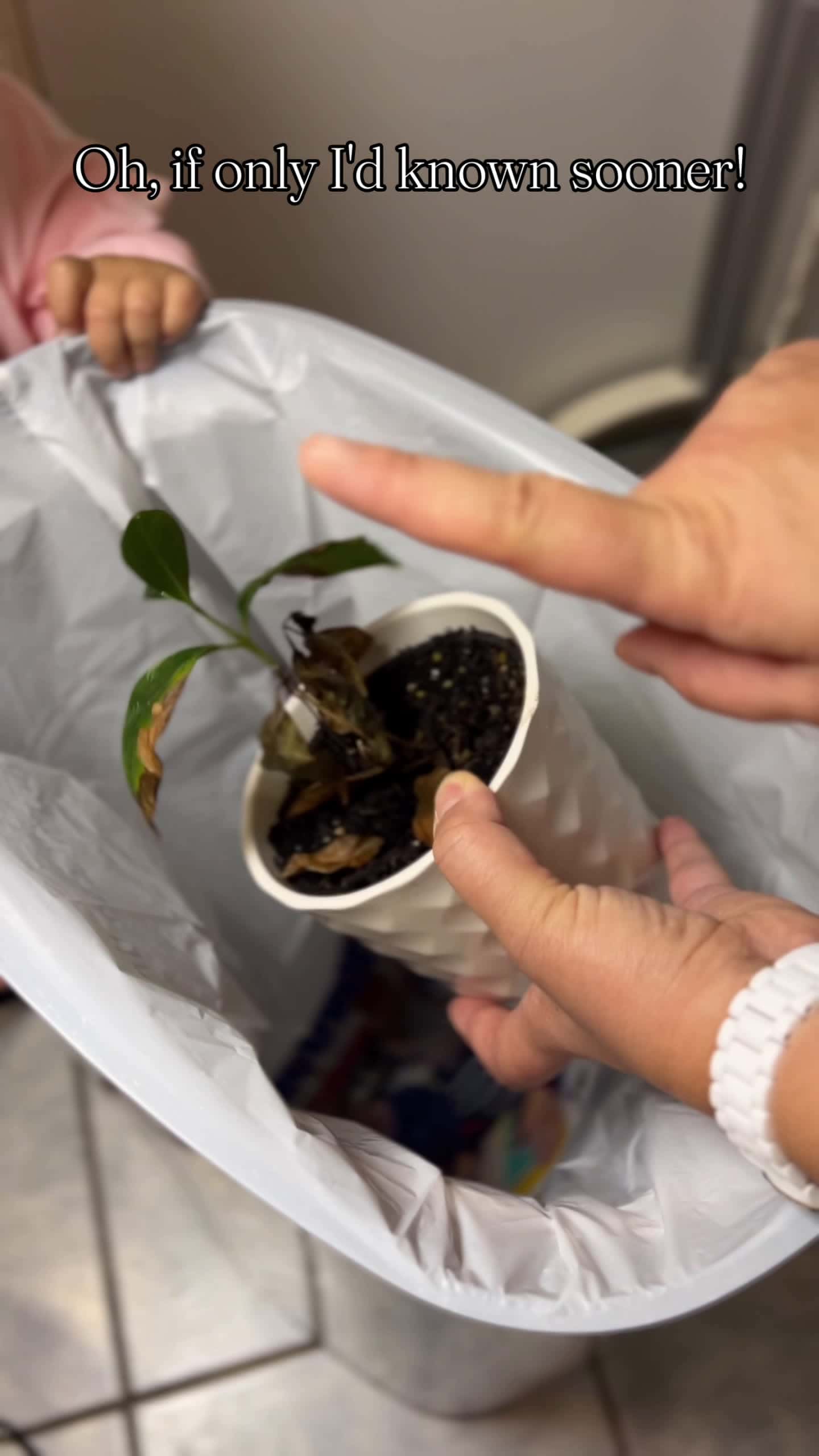 Cover for Life Hack 🪴🪴🪴 Oh, if only I'd known sooner! Crushed eggshells can be added directly to the soil when repotting or used as a fertilizer by simply sprinkling them around the plant.#lifehacks #hacks #plant #lifehack #hack #fyp #eggshells #homehacks