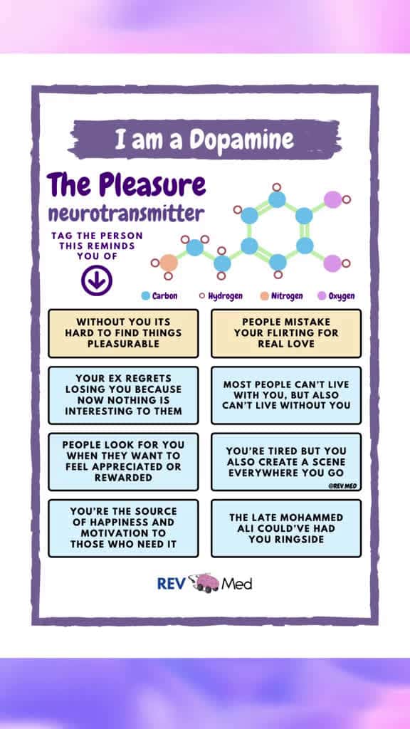 Cover for Tag the dopamine people in your life #dopamine #anatomy #medschool