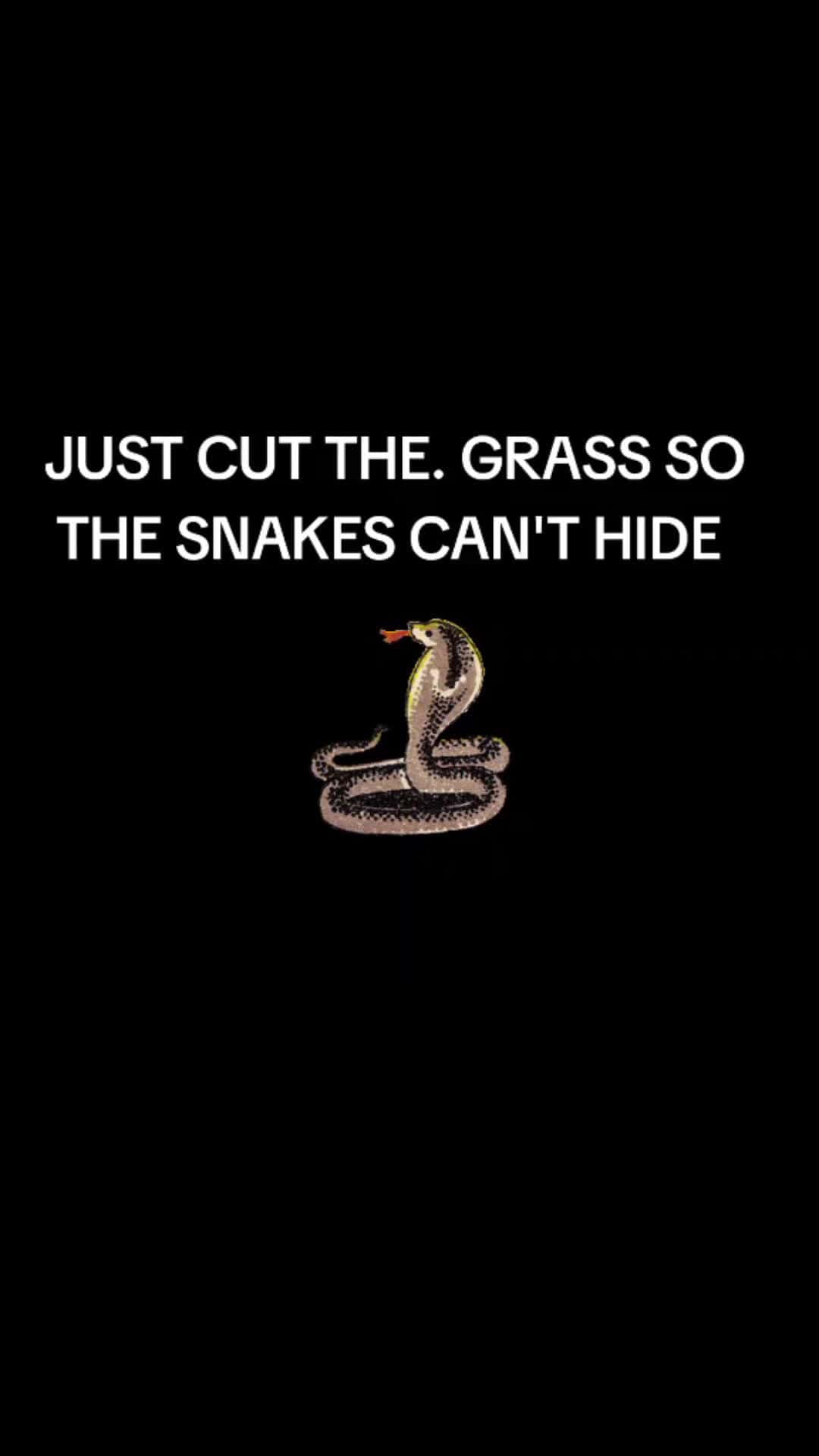 Cover for slimehollywoodbeats 