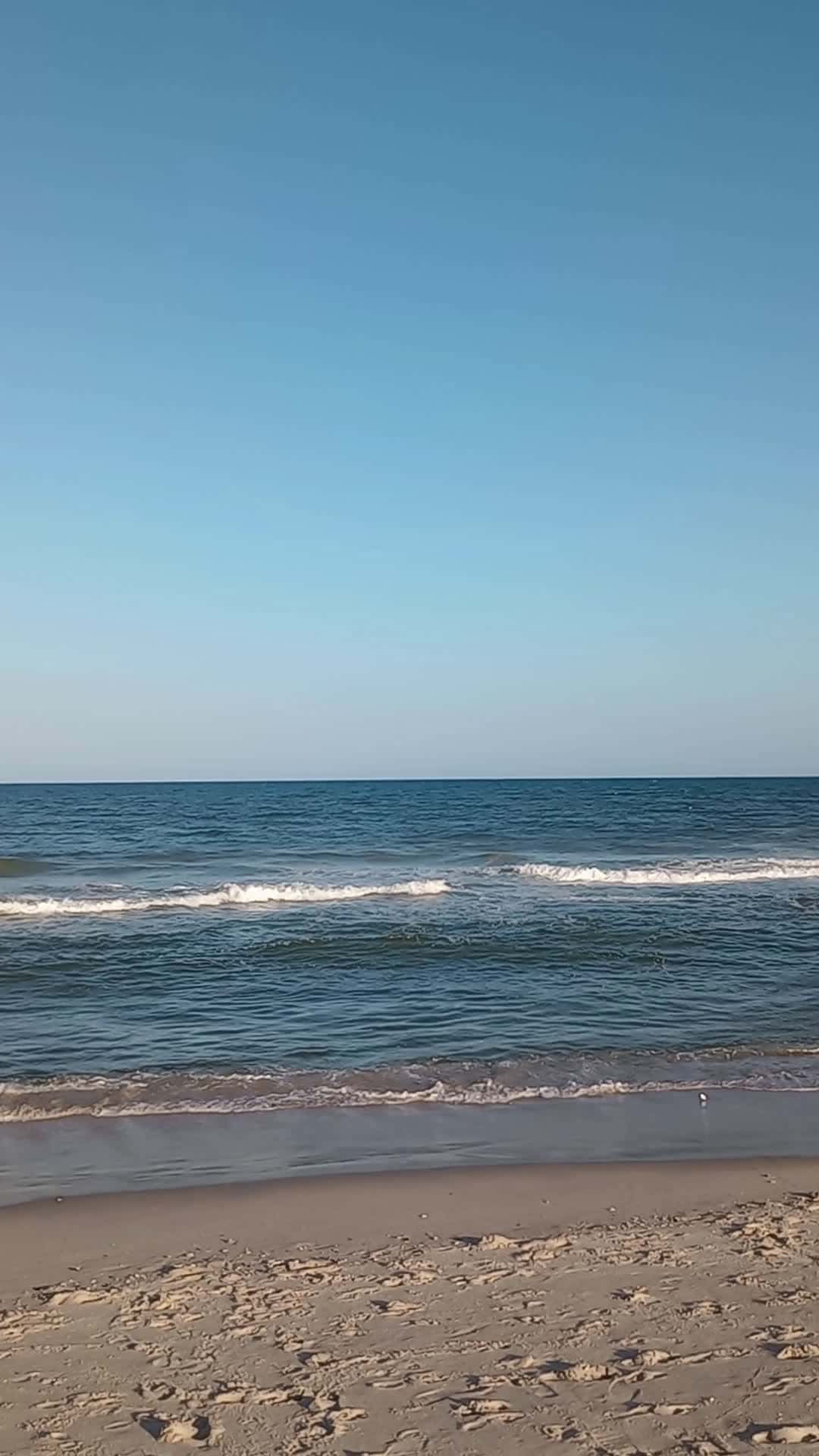 Cover for The Ocean at Long Beach Island 