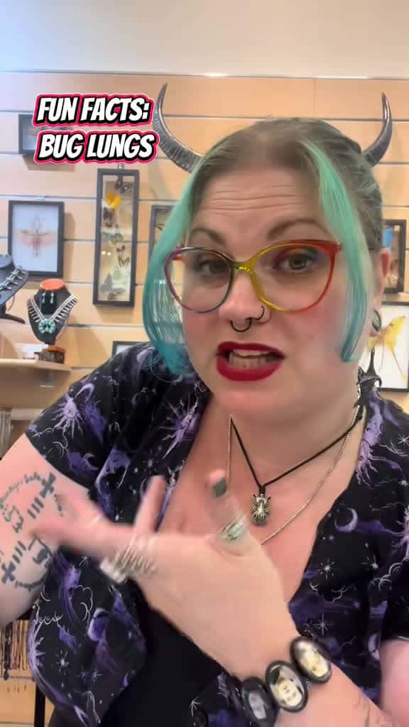 Cover for Wild bug facts from your favorite nerd! 🐛 #BugFacts #WeirdosUnite #FunFacts