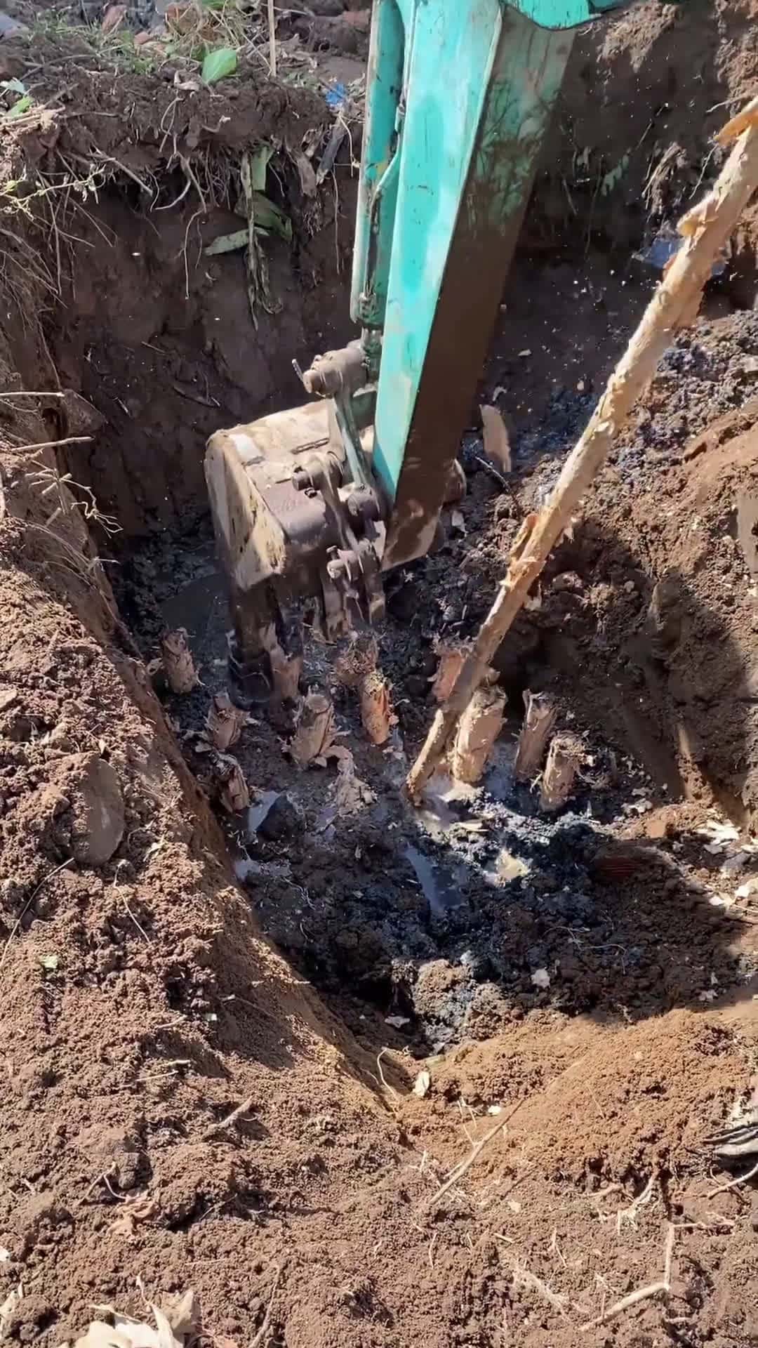 Cover for Melaleuca pile driving work#UnpopularOpinion #CaughtOnCamera