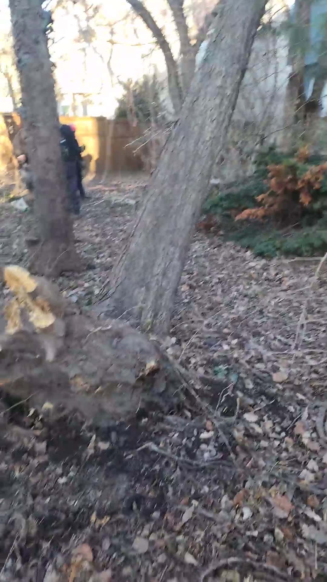 Cover for Timber!!! Family Tree Service is located in Kansas City, Missouri. #treeremoval ##treeservice ##emergencytreeremoval #kcfamilytree.com