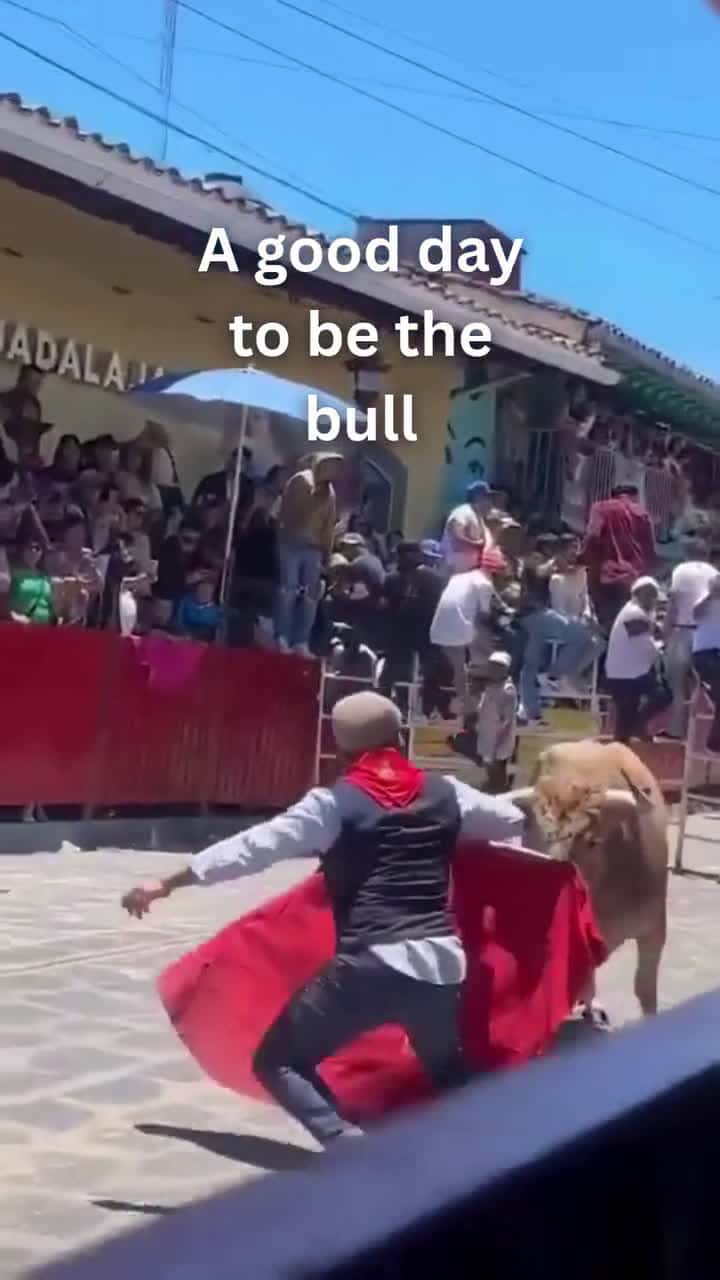 Cover for Holy ish he didn’t see that coming😂😂😭 #comedy #funny #bull #festival #fail