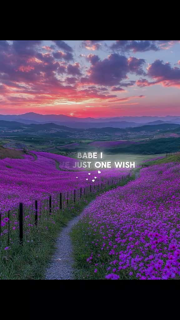Cover for lovequotes lovequote quoteslove 17559 #followMe