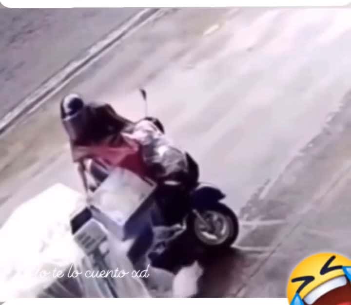Cover for 🥹😅🤣 #funny #funnyvideos #fyp #trending #scoopz
