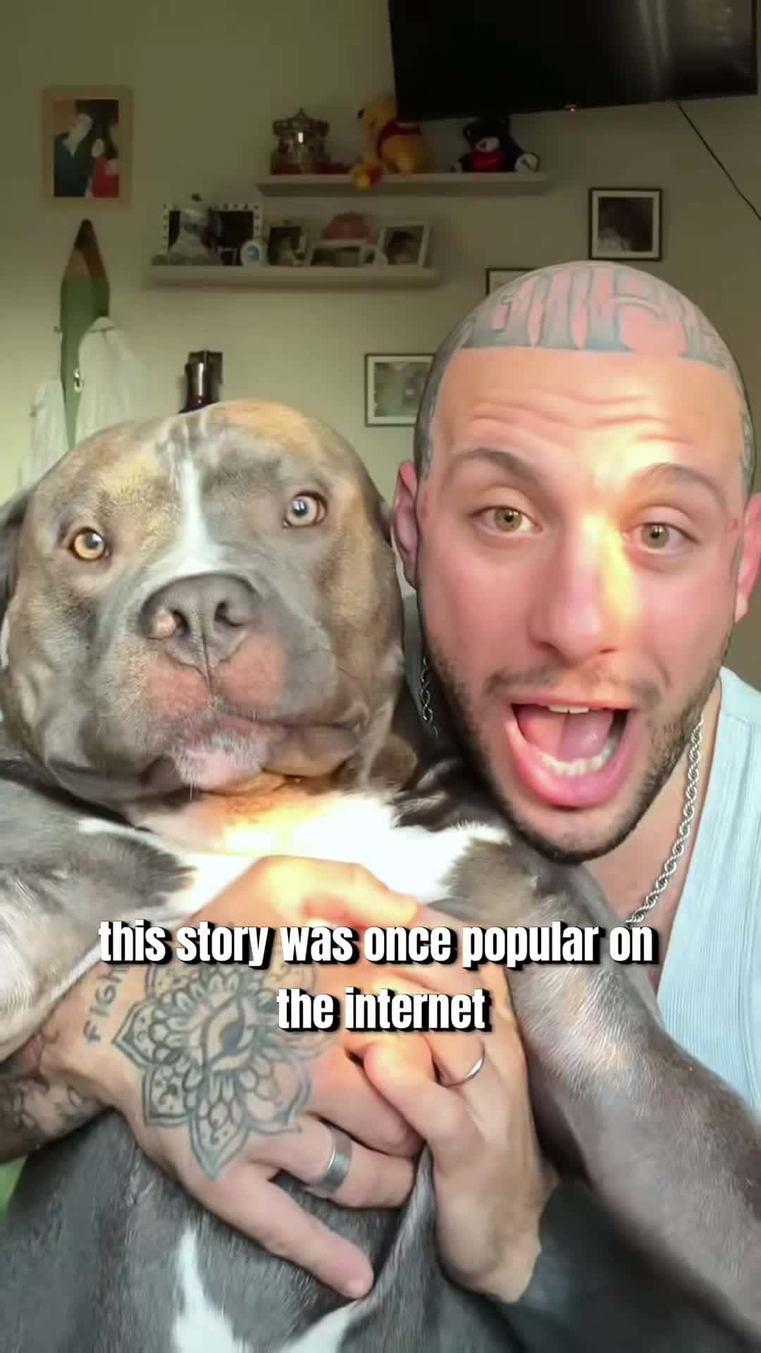 Cover for #FirstVideoChallenge It turns out that love really can heal everything #dog #pet #love