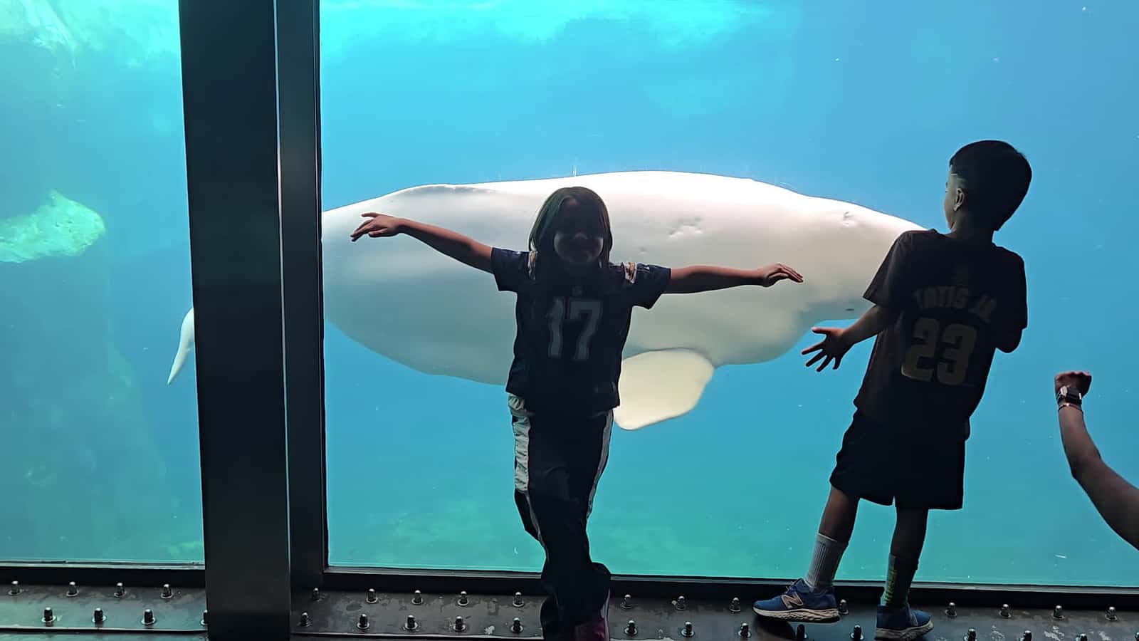 Cover for SeaWorld SanDiego