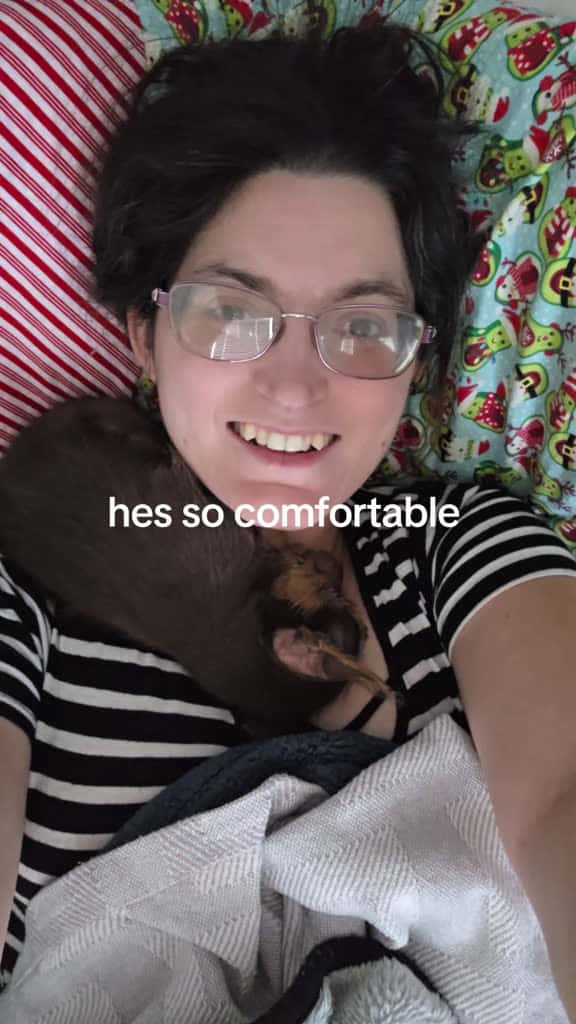 Cover for hes so happy with me hes laying in his favorite spot like a scarf. hes almost 10 weeks.  #chorkie #mividaloca #hashimotosdisease #dogmom  created by Alissa Lynn Zatelli with Nandy’s No Stress