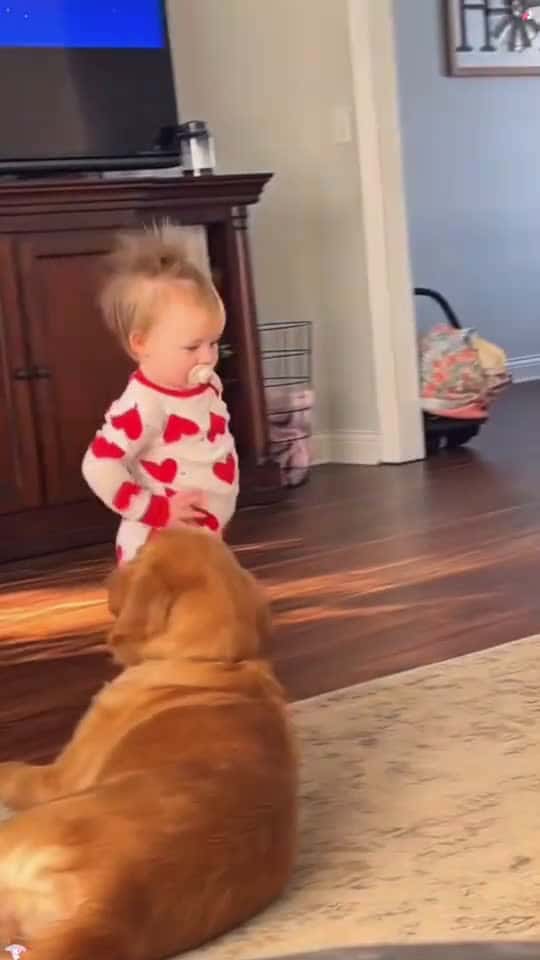 Cover for The love of puppies and babies dog baby Love bestfriend dogsoftiktok foryou lovestory cute 15327 #nicevideo
