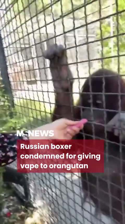 Cover for The way he puffs it will have you laughing 😂 #FunnyMoment #Hilarious #PuffMaster
