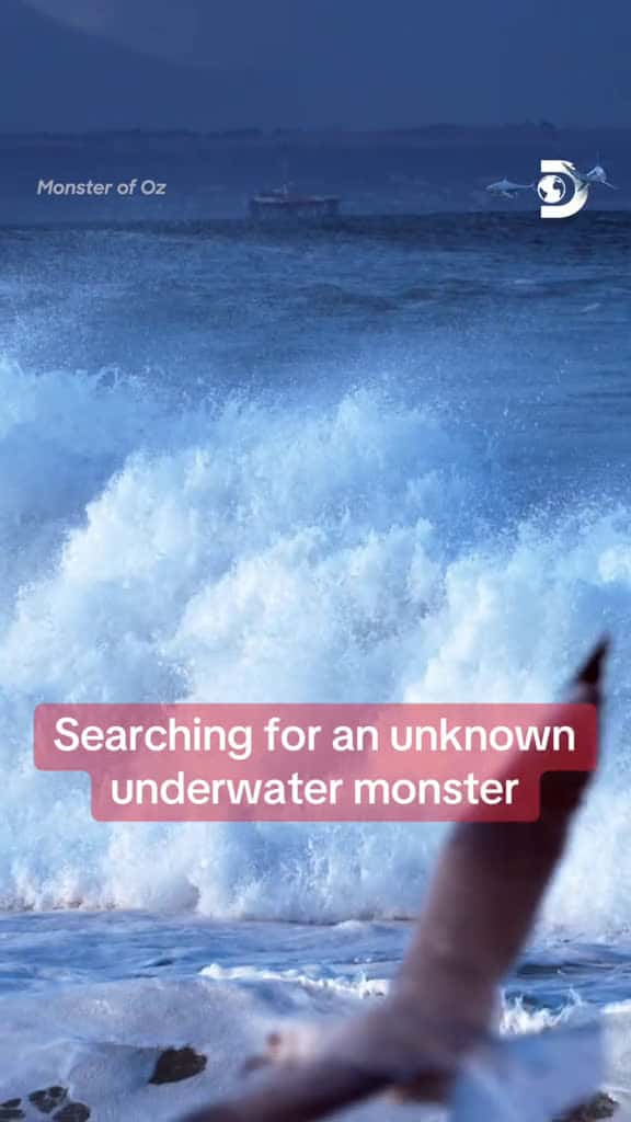 Cover for What kind of animal could be behind these odd events Join the research of Monster of Oz TO 63370 #shortvideosscoopz