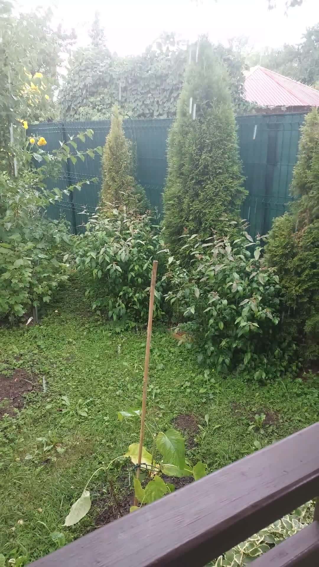 Cover for expected summer rain 