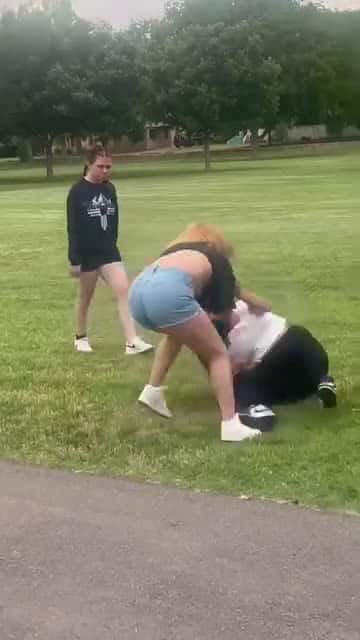 Cover for Big girl fight